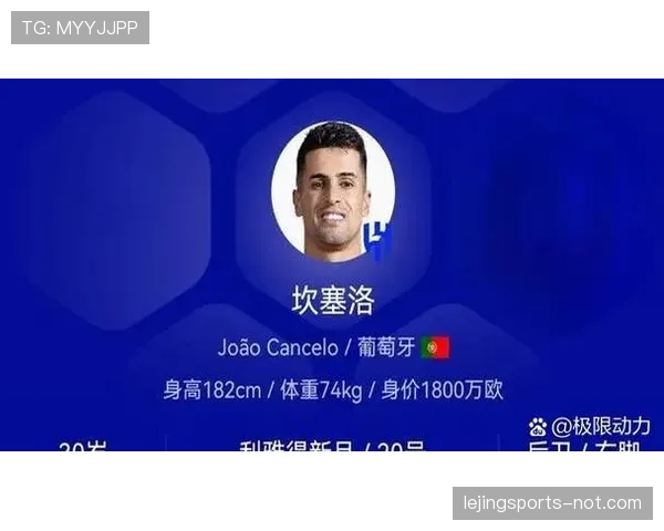 哈兰德终结效率与坎塞洛组织角色的结构性偏移分析